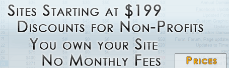 Our prices start at $199 for a brochure site with no monthly fees, and you own your site.