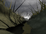 Ditch