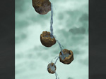 Cascade