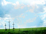 Crosses Background